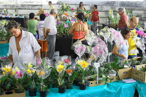 FEIRA DE orquidias